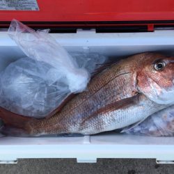 第二八坂丸 釣果