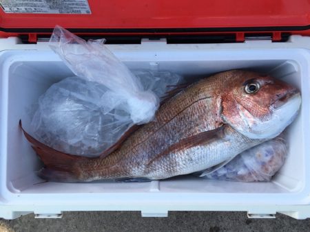 第二八坂丸 釣果