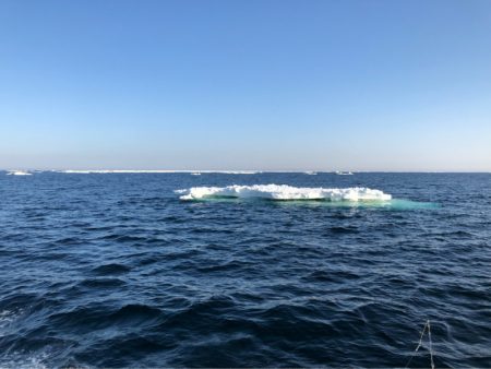 第二 つれたか丸 釣果