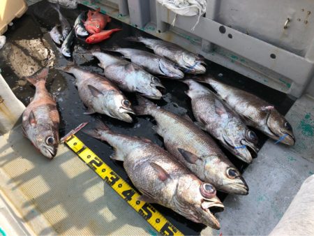 ＴＡＲＯＭＡＲＵ 釣果