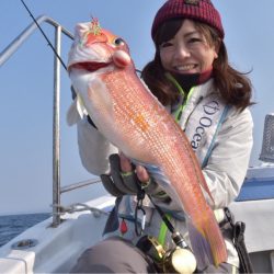 渡船屋たにぐち 釣果