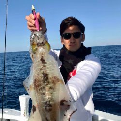 South Current 釣果