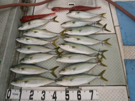 オーシャンスター(Ocean Star) …