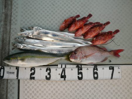 オーシャンスター(Ocean Star) …