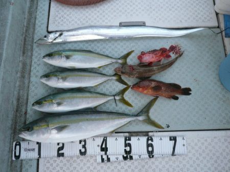 オーシャンスター(Ocean Star) …