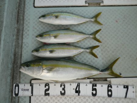 オーシャンスター(Ocean Star) …