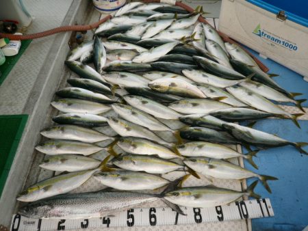 オーシャンスター(Ocean Star) …