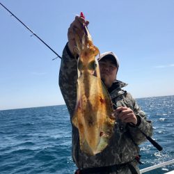 South Current 釣果