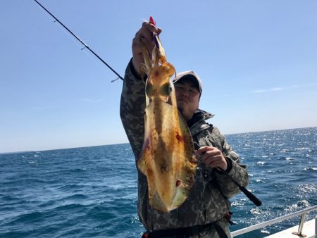 South Current 釣果