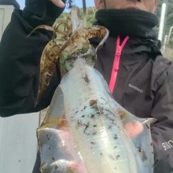 シースナイパー海龍 釣果