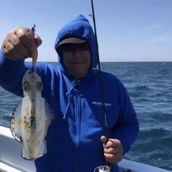 South Current 釣果