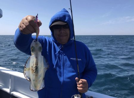 South Current 釣果