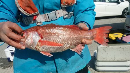 ぽん助丸 釣果