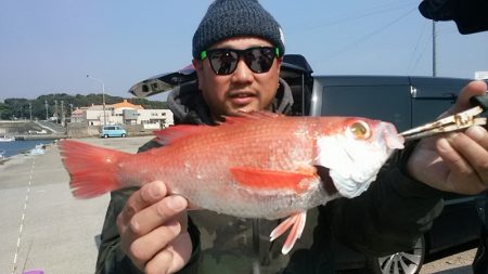 ぽん助丸 釣果