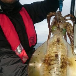 シースナイパー海龍 釣果