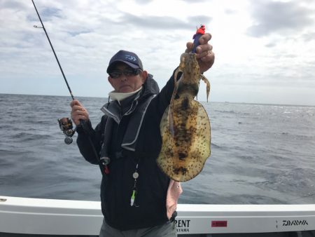 South Current 釣果