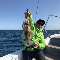 South Current 釣果