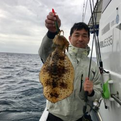 South Current 釣果