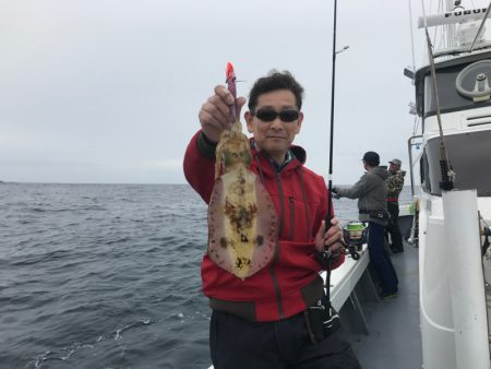 South Current 釣果