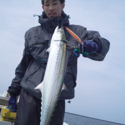 ひな丸 釣果