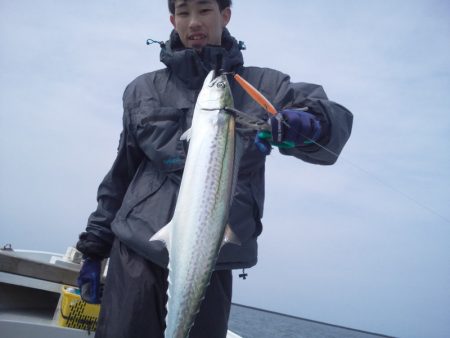 ひな丸 釣果