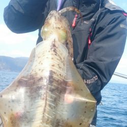 シースナイパー海龍 釣果