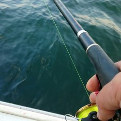 シースナイパー海龍 釣果