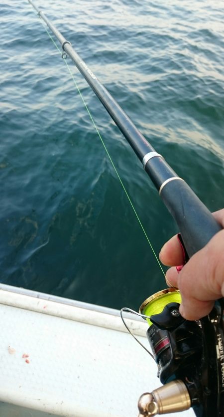 シースナイパー海龍 釣果