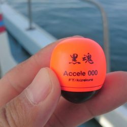 シースナイパー海龍 釣果