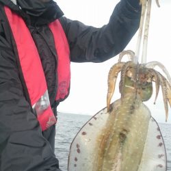 シースナイパー海龍 釣果