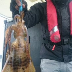 シースナイパー海龍 釣果