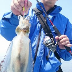 シースナイパー海龍 釣果