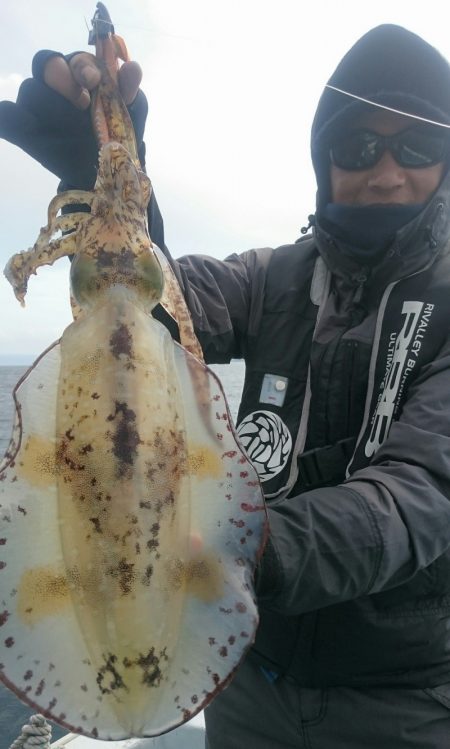 シースナイパー海龍 釣果