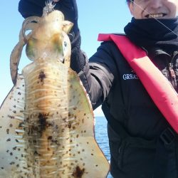 シースナイパー海龍 釣果