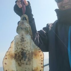 シースナイパー海龍 釣果