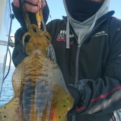 シースナイパー海龍 釣果