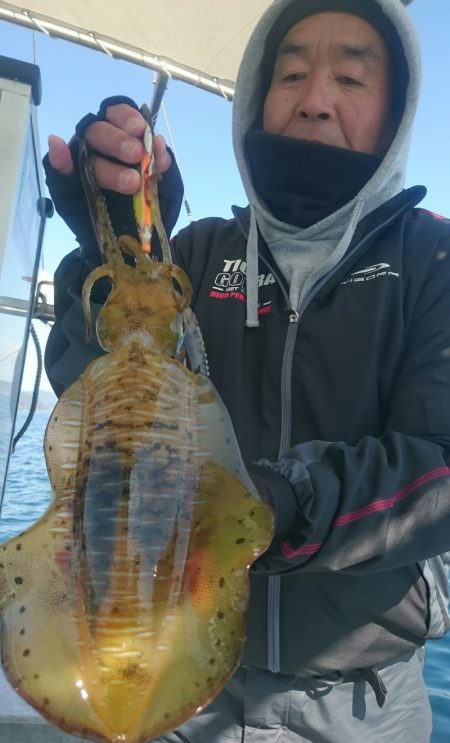 シースナイパー海龍 釣果