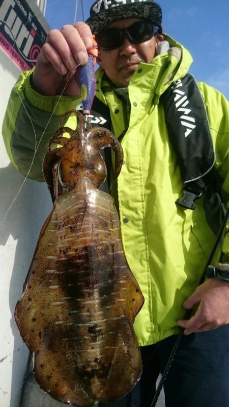 シースナイパー海龍 釣果