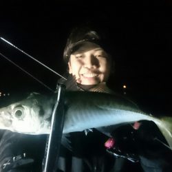 シースナイパー海龍 釣果