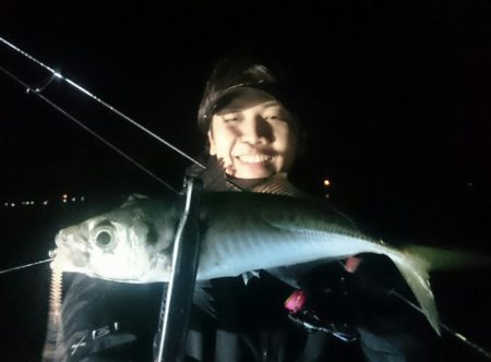 シースナイパー海龍 釣果