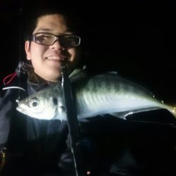 シースナイパー海龍 釣果