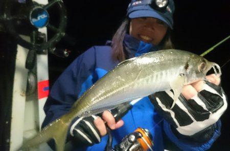 シースナイパー海龍 釣果