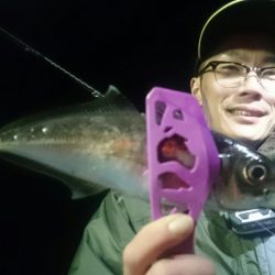 シースナイパー海龍 釣果