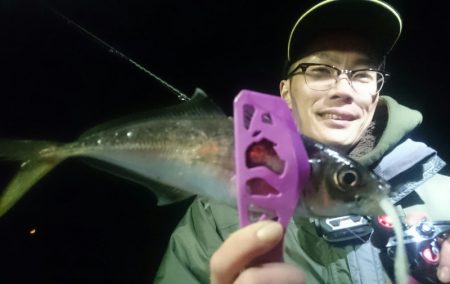 シースナイパー海龍 釣果