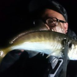 シースナイパー海龍 釣果