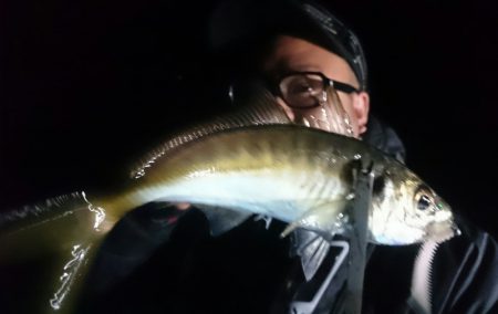 シースナイパー海龍 釣果