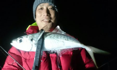 シースナイパー海龍 釣果
