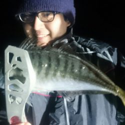 シースナイパー海龍 釣果