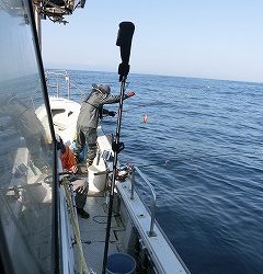 第二清洋丸 釣果