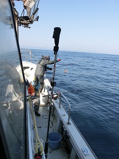 第二清洋丸 釣果